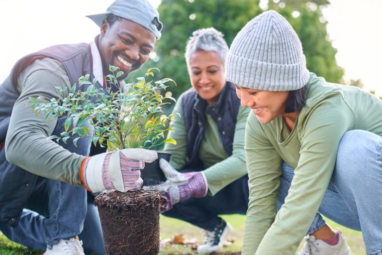 Three people smiling while planting a tree